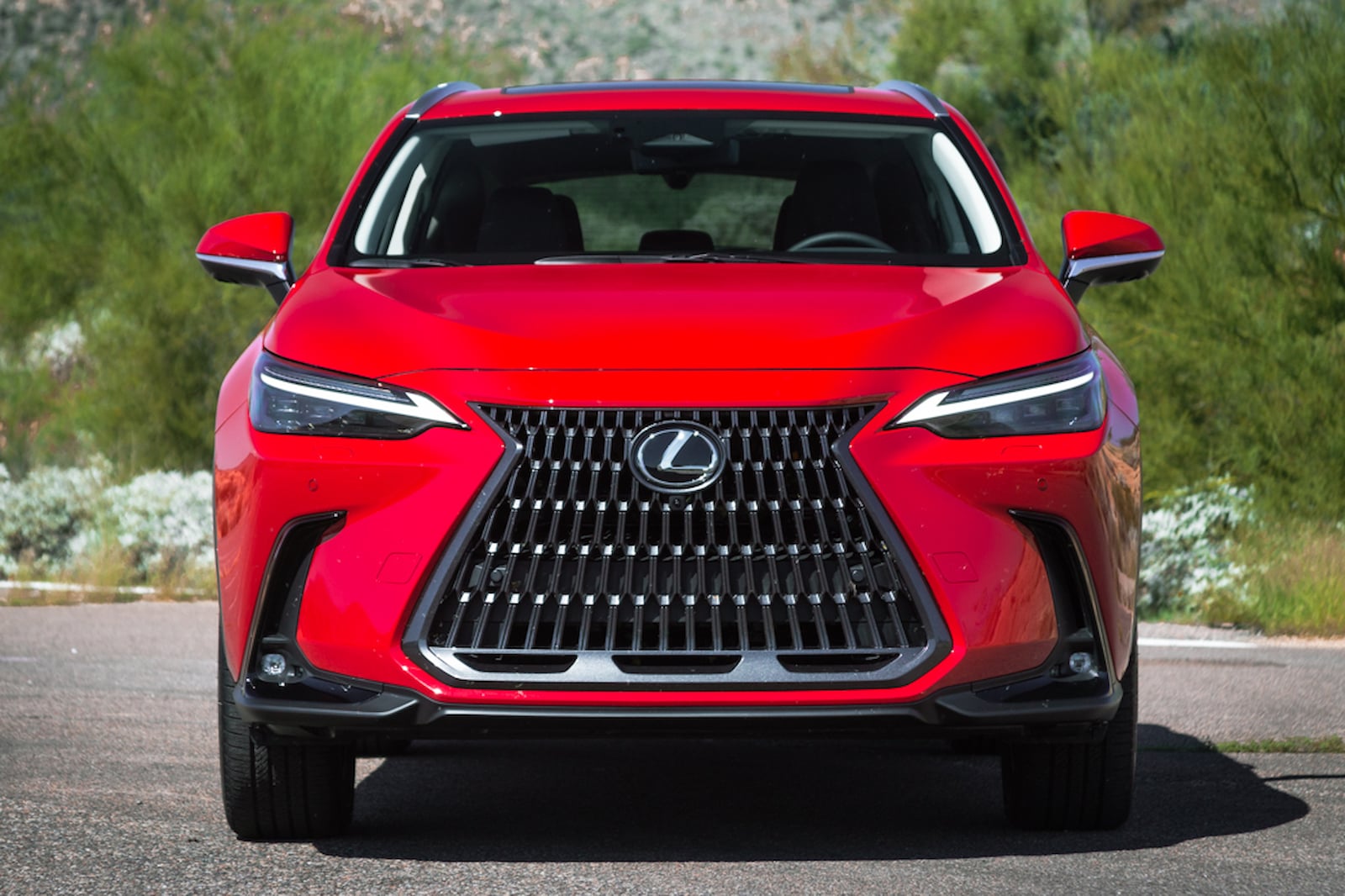 2024 Lexus NX Review, Pricing New NX SUV Models CarBuzz