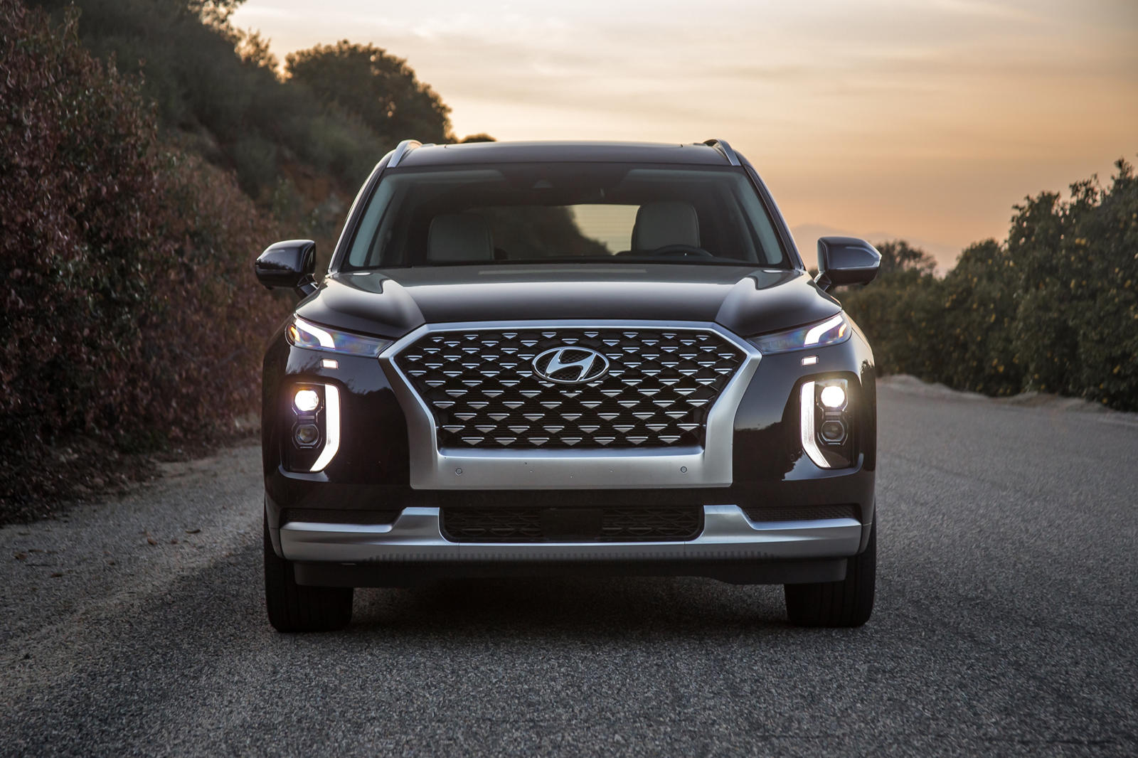 2020 Hyundai Palisade: Review, Trims, Specs, Price, New Interior Features,  Exterior Design, and Specifications