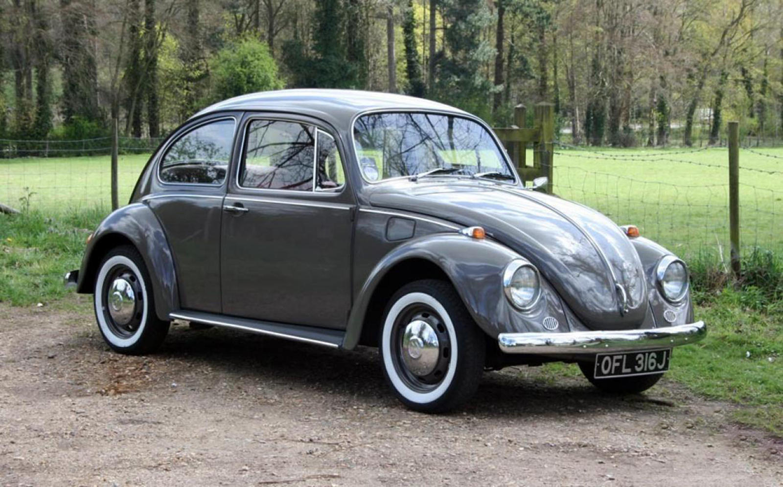 Volkswagen's Enduring Icon Takes Its Final Bow | CarBuzz