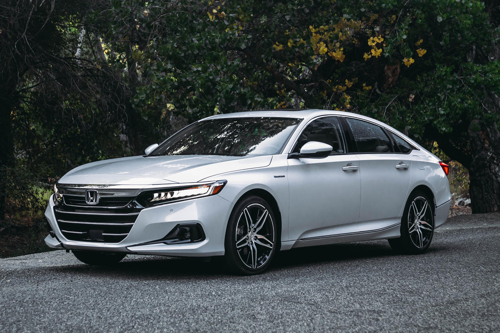 All New Honda Accord 2024 Review New Cars Review