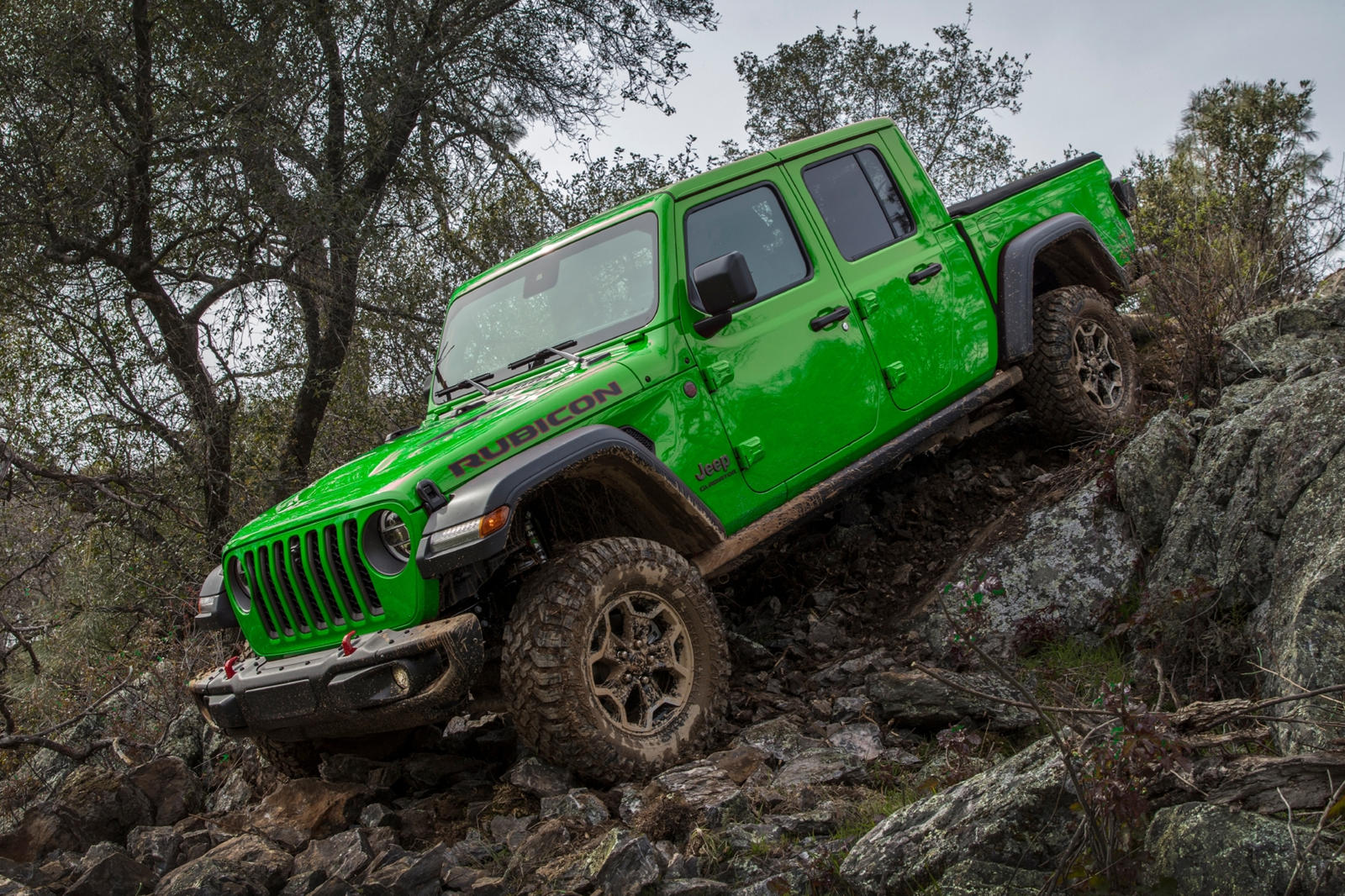 Jeep Gladiator And Wrangler Gain Some Wild Paint Colors | CarBuzz
