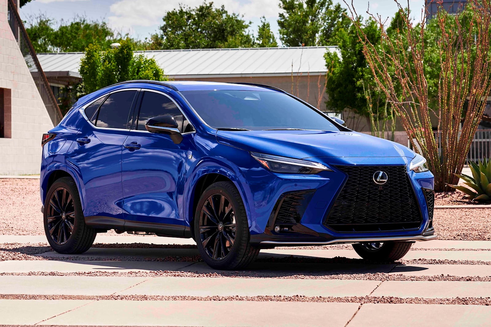 Used Lexus NX Hybrid in Nori Green Pearl For Sale Check Photos, Prices
