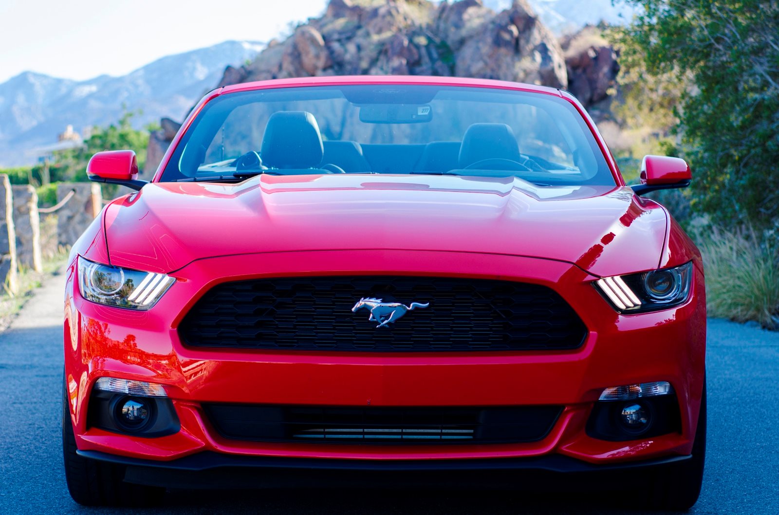 Форд мустанг красный. Форд Мустанг 2015. Ford Mustang 2015. Форд Мустанг 2015 красный. Ford Mustang 2015 красный.