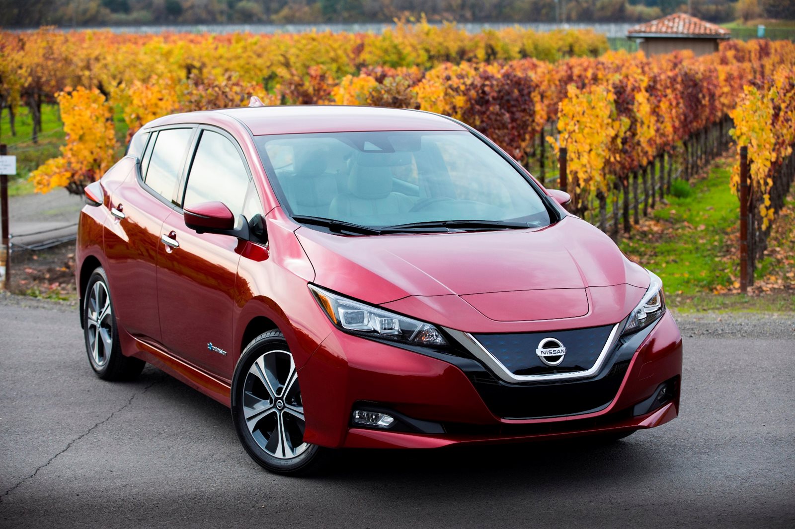 2019 Nissan Leaf Front Angle View