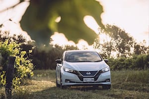 This Nissan Leaf Pays Its Owner Just For Charging It