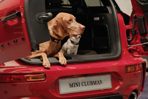 Mini Makes Life Easier For Dog Owners