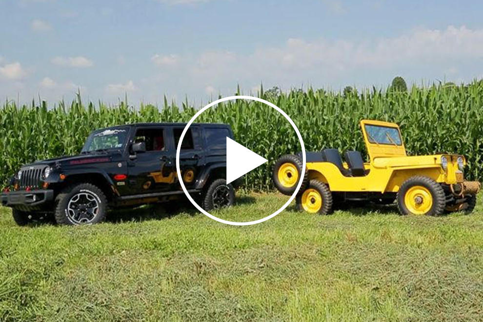 Jeep vs. Willys: Which is the True Jeep? | CarBuzz